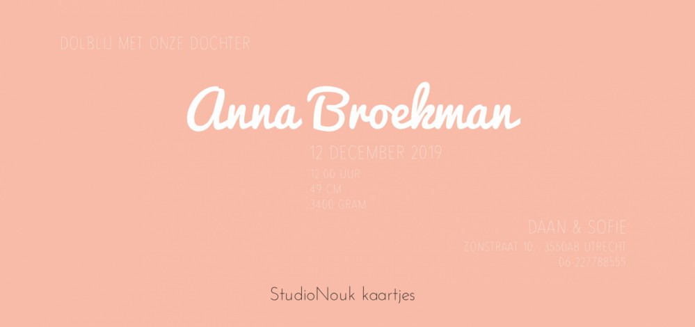 Anna Skyline Utrecht achter