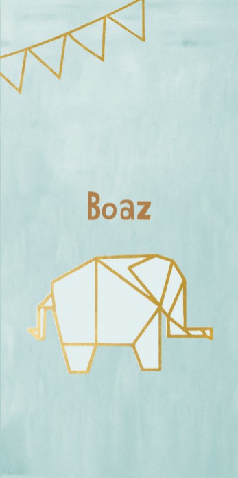 Boaz en Raff tweeling kaartje origami diertjes