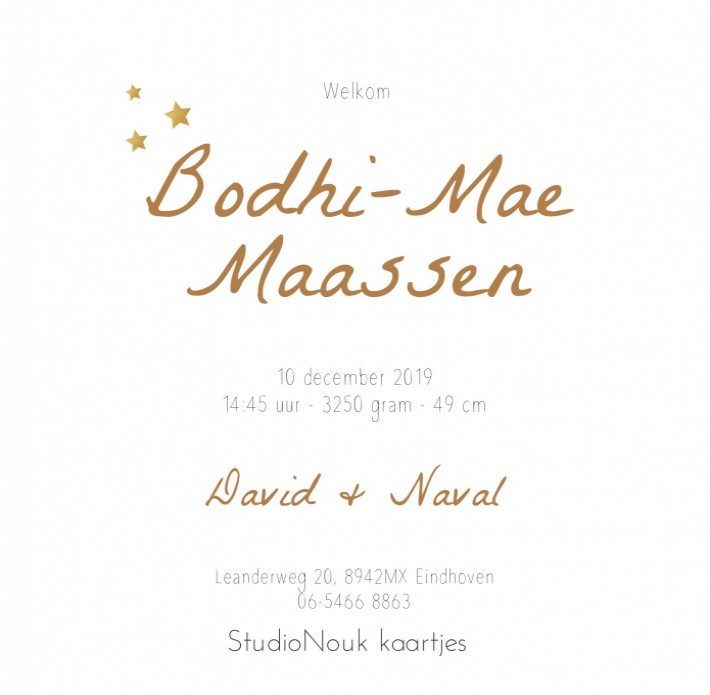 Geboortekaartje sterrenbeeld - Bodhi Mae