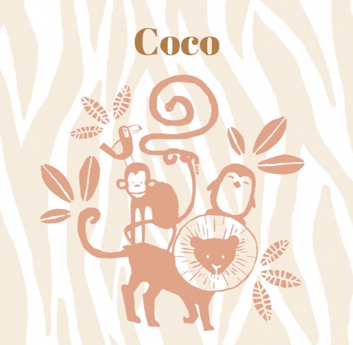Geboortekaartje diertjes zebra - Coco