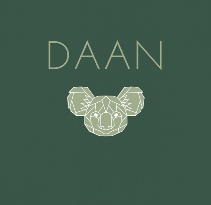 Daan origami diertje koala