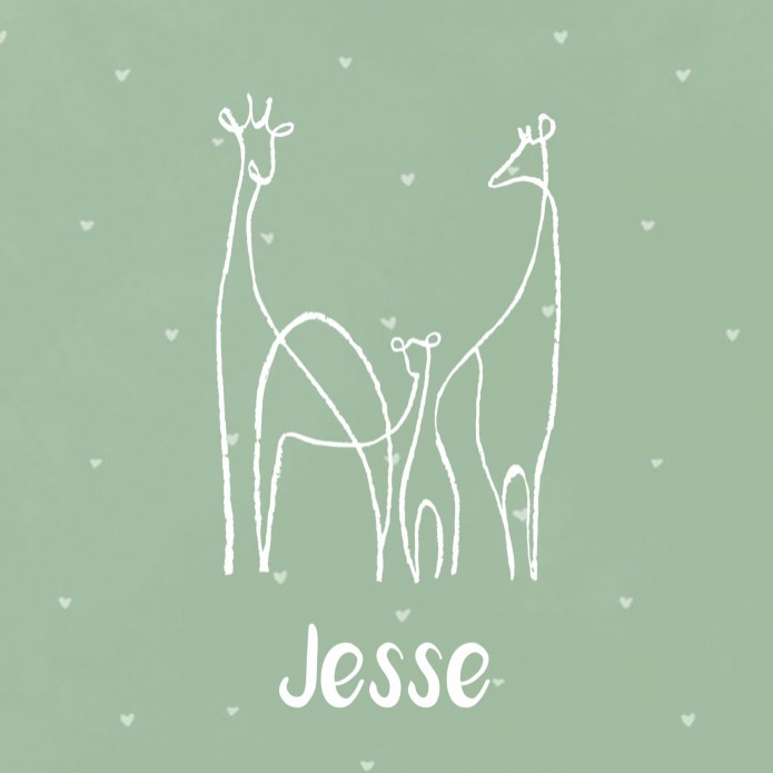 Geboortekaartje jongen one-line tekening giraffe Jesse voor