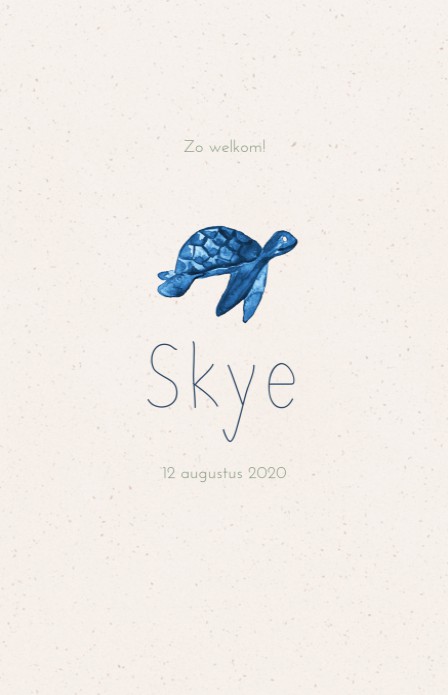 Geboortekaartje schildpad waterverf - Skye