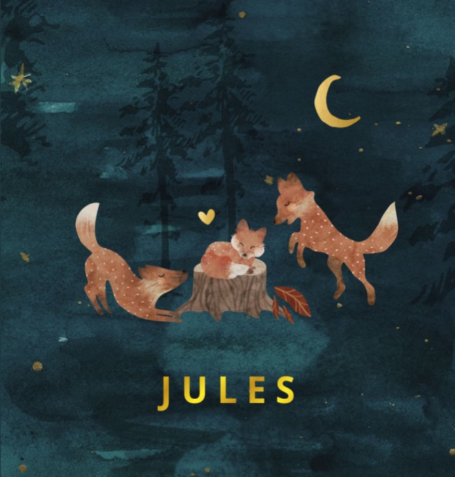 Geboortekaartje vosjes in de nacht - Jules