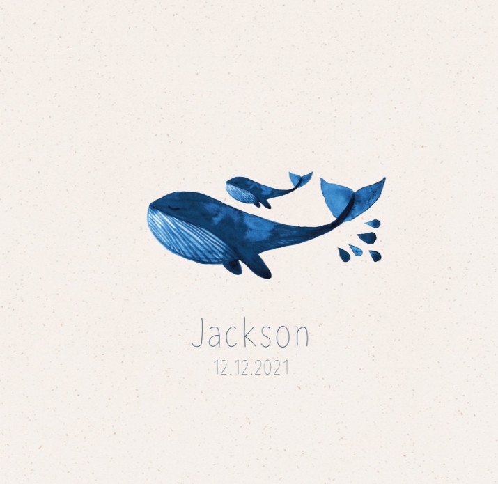 Geboortekaartje walvissen waterverf zee - Jackson
