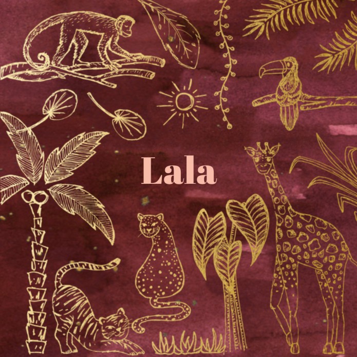 Geboortekaartje stoer meisjes jungle dieren - Lala