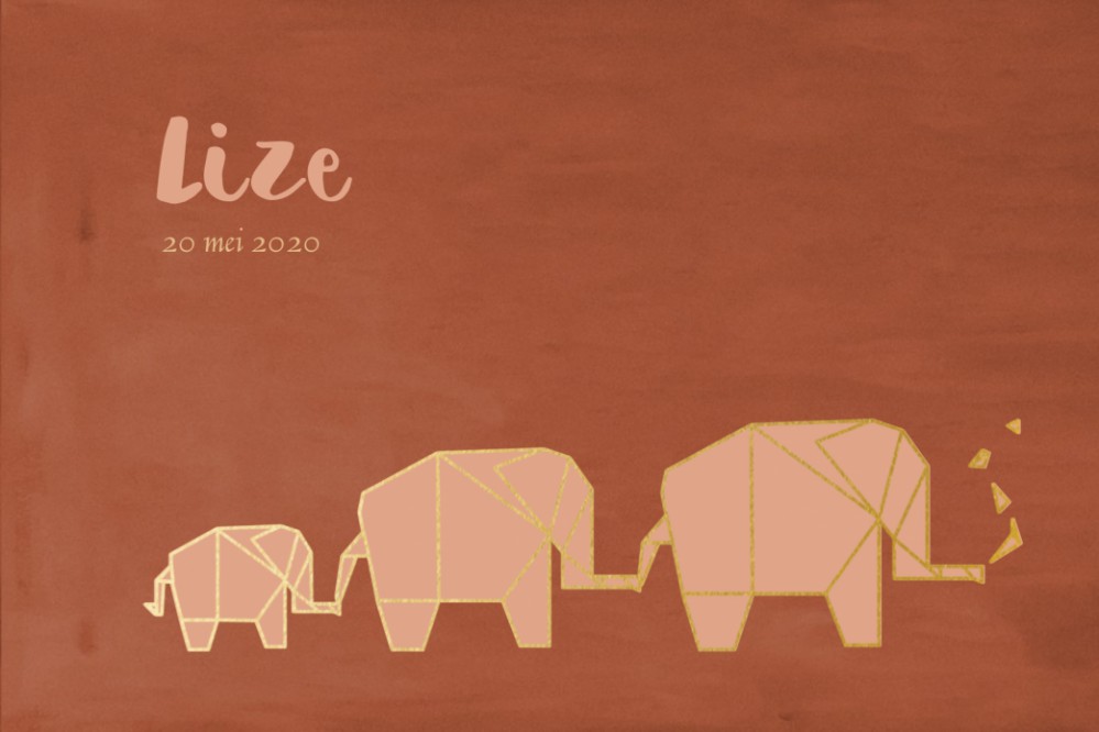 Geboortkeaartje 3 olifantjes - Lize