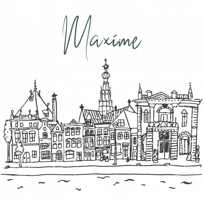Geboortekaartje skyline Haarlem - Maxime