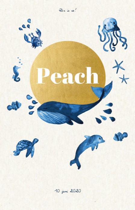 Geboortekaartje waterverf zeediertjes - Peach