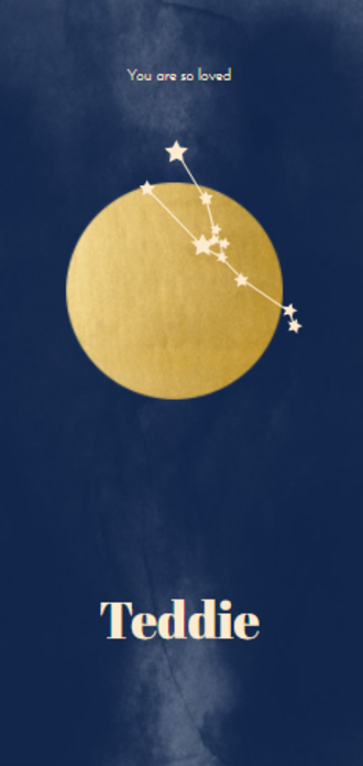 Geboortekaartje sterrenbeeld donkerblauw - Teddie