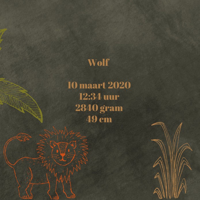 Geboortekaartje tweeling jungle dieren - Wolf & Faas