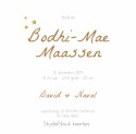 Bodhi-Mae sterrenbeeld kaartje achter