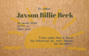 Jaxson Billie geboortekaartje tropisch achter