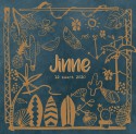 Jinne beach strand voor