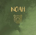 Noah beer goud groen voor