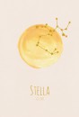 Stella geboortekaartje voor